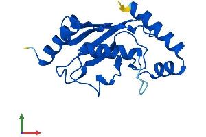 AlphaFold protein structure predicition of Human Recombinant UBE2A Protein, UniprotID P49459
