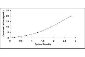 Forkhead Box Q1 (FOXQ1) ELISA Kit