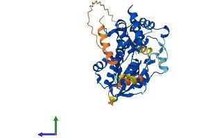 AlphaFold protein structure predicition of Mouse Recombinant Mettl15 Protein, UniprotID Q9DCL4