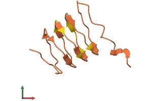 AlphaFold protein structure predicition of Human Recombinant KRTAP21-1 Protein, UniprotID Q3LI58