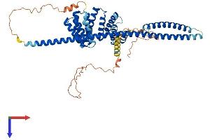 AlphaFold protein structure predicition of Human Recombinant KLC3 Protein, UniprotID Q6P597