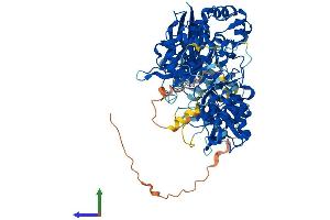 AlphaFold protein structure predicition of Mouse Recombinant Plcd3 Protein, UniprotID Q8K2J0