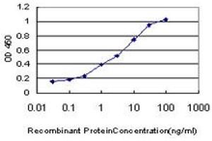 Detection limit for recombinant GST tagged POLI is approximately 0. (POLI anticorps  (AA 616-715))
