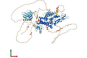 AlphaFold protein structure predicition of Mouse Recombinant Plekhm3 Protein, UniprotID Q8BM47
