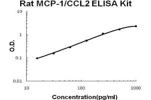 Rat MCP-1/CCL2 PicoKine ELISA Kit standard curve