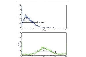 Flow cytometric analysis of NCI- cells using SAR1A Antibody (Center)(bottom histogram) compared to a negative control cell (top histogram).