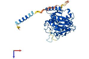 AlphaFold protein structure predicition of Mouse Recombinant B3gnt3 Protein, UniprotID Q5JCS9