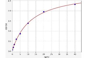 Typical standard curve (RNASE2 Kit ELISA)