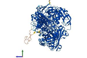 AlphaFold protein structure predicition of Mouse Recombinant Aox1 Protein, UniprotID O54754