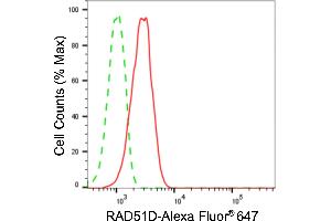 Flow cytometric analysis of RAD51D expression in HeLa cells using RAD51D antibody (ABIN7800120), 1:2,000). (Recombinant RAD51D anticorps)
