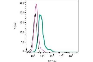 Cell surface detection of ZIP10 by direct flow cytometry in live intact mouse J774 macrophage cell line: + Rabbit IgG isotype control-FITC (ABIN7582044).