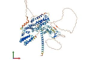 AlphaFold protein structure predicition of Mouse Recombinant Rasgrp1 Protein, UniprotID Q9Z1S3