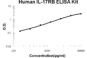 Human IL-17RB PicoKine ELISA Kit standard curve (IL17 Receptor B Kit ELISA)