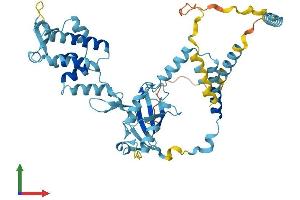 AlphaFold protein structure predicition of Human Recombinant UBXN6 Protein, UniprotID Q9BZV1