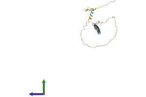 AlphaFold protein structure predicition of Human Recombinant LUZP4 Protein, UniprotID Q9P127