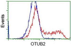HEK293T cells transfected with either RC209650 overexpress plasmid (Red) or empty vector control plasmid (Blue) were immunostained by anti-OTUB2 antibody (ABIN2453412), and then analyzed by flow cytometry. (OTUB2 anticorps)