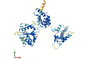 AlphaFold protein structure predicition of Human Recombinant ORC4 Protein, UniprotID O43929