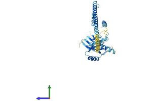 AlphaFold protein structure predicition of Human Recombinant PSMD7 Protein, UniprotID P51665