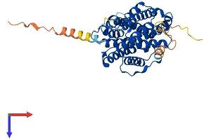 AlphaFold protein structure predicition of Human Recombinant RRM2B Protein, UniprotID Q7LG56