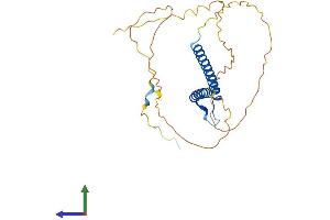 AlphaFold protein structure predicition of Mouse Recombinant Neurog2 Protein, UniprotID P70447