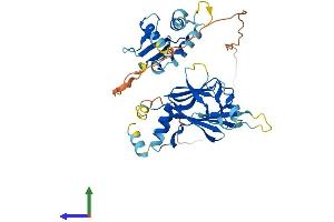 AlphaFold protein structure predicition of Human Recombinant IRF9 Protein, UniprotID Q00978