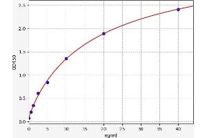 Typical standard curve (MST1L Kit ELISA)