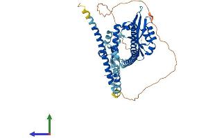 AlphaFold protein structure predicition of Mouse Recombinant Nup54 Protein, UniprotID Q8BTS4