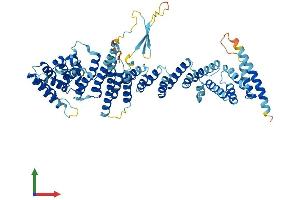AlphaFold protein structure predicition of Mouse Recombinant Nup85 Protein, UniprotID Q8R480