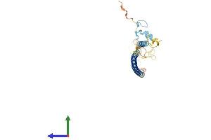 AlphaFold protein structure predicition of Human Recombinant RNF187 Protein, UniprotID Q5TA31