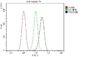 Flow Cytometry analysis of Hela cells using anti-PRDX6 antibody (ABIN7600102). (Peroxiredoxin 6 anticorps  (AA 15-224))