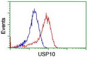 Image no. 12 for anti-Ubiquitin Specific Peptidase 10 (USP10) antibody (ABIN1501687) (USP10 anticorps)