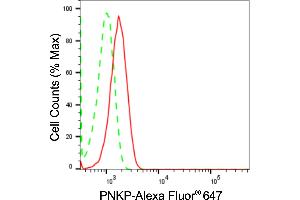 Flow cytometric analysis of PNKP expression in HT- cells using PNKP antibody (ABIN7799881), 1:2,000).