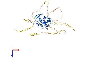AlphaFold protein structure predicition of Human Recombinant ARID3C Protein, UniprotID A6NKF2