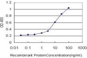 Detection limit for recombinant GST tagged FOXO3A is approximately 1ng/ml as a capture antibody. (FOXO3 anticorps  (AA 361-460))