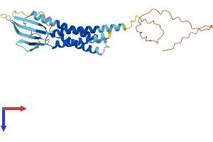 AlphaFold protein structure predicition of Human Recombinant CACNG7 Protein, UniprotID P62955