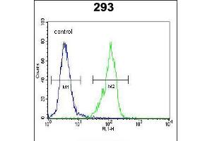 Flow cytometric analysis of 293 cells (right histogram) compared to a negative control cell (left histogram). (GAL anticorps  (C-Term))