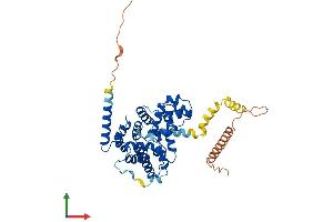 AlphaFold protein structure predicition of Human Recombinant TBC1D20 Protein, UniprotID Q96BZ9