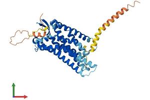 AlphaFold protein structure predicition of Mouse Recombinant Agtr2 Protein, UniprotID P35374