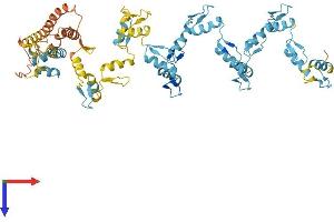 AlphaFold protein structure predicition of Human Recombinant ZNF732 Protein, UniprotID B4DXR9