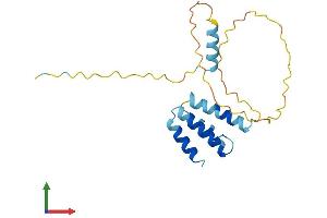 AlphaFold protein structure predicition of Human Recombinant CT45A3 Protein, UniprotID Q8NHU0