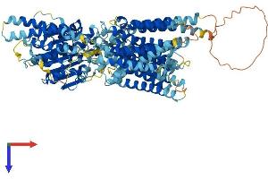 AlphaFold protein structure predicition of Human Recombinant PIGG Protein, UniprotID Q5H8A4