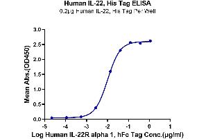 Immobilized Human IL-22, His Tag at 2 μg/mL (100 μL/Well) on the plate.