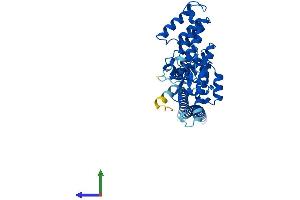AlphaFold protein structure predicition of Mouse Recombinant Maea Protein, UniprotID Q4VC33