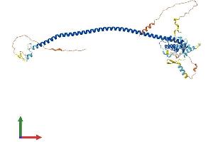 AlphaFold protein structure predicition of Mouse Recombinant Atg14 Protein, UniprotID Q8CDJ3