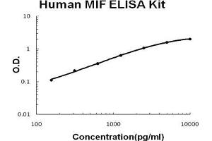 Human MIF PicoKine ELISA Kit standard curve (MIF Kit ELISA)