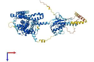 AlphaFold protein structure predicition of Mouse Recombinant Slc26a4 Protein, UniprotID Q9R155