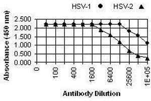 ELISA image for anti-Herpes Simplex Virus, Glycoprotein B (HSV gB) antibody (ABIN265573) (HSV gB anticorps)