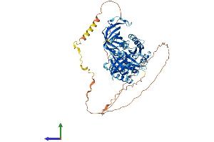AlphaFold protein structure predicition of Mouse Recombinant Gspt1 Protein, UniprotID Q8R050