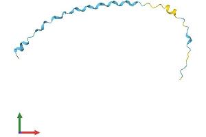 AlphaFold protein structure predicition of Human Recombinant SPRR2F Protein, UniprotID Q96RM1