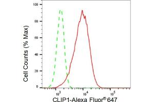 Flow cytometric analysis of CLIP1 expression in HepG2 cells using CLIP1 antibody (ABIN7797861), 1:2,000). (Recombinant CLIP1 anticorps)